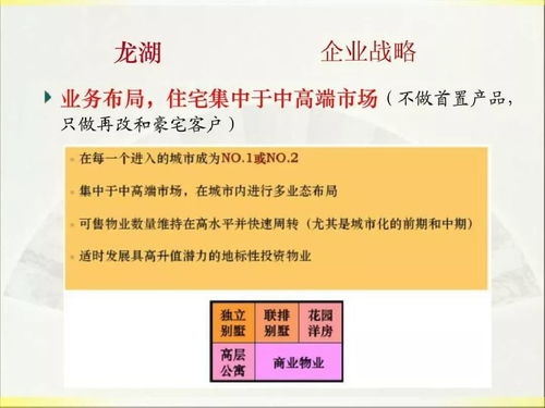 2019年龍湖房產項目實施策劃與公關服務方案